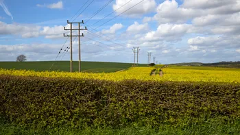 Hedgerow powerlines and rapeseed.jpg